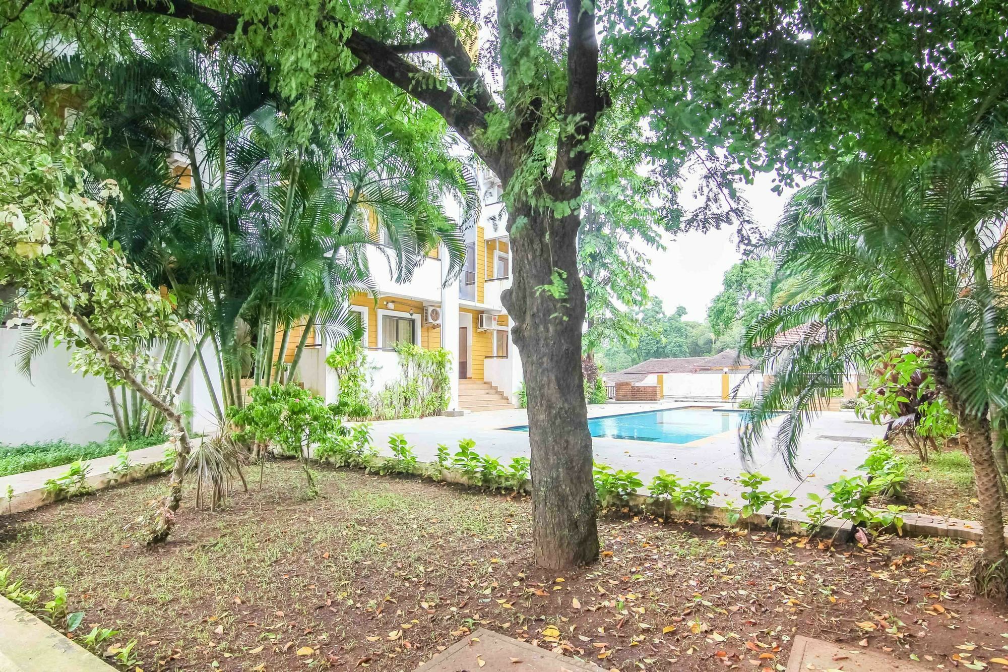 Rainforest - Casa Del Sol, Anjuna - 3 Kms From The Beach Eksteriør bilde